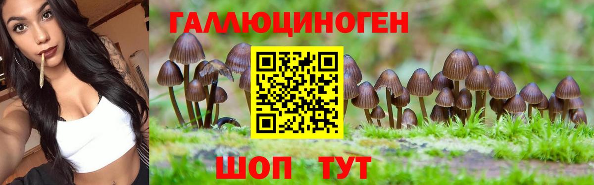 Галлюциногенные грибы Cubensis Михайловка