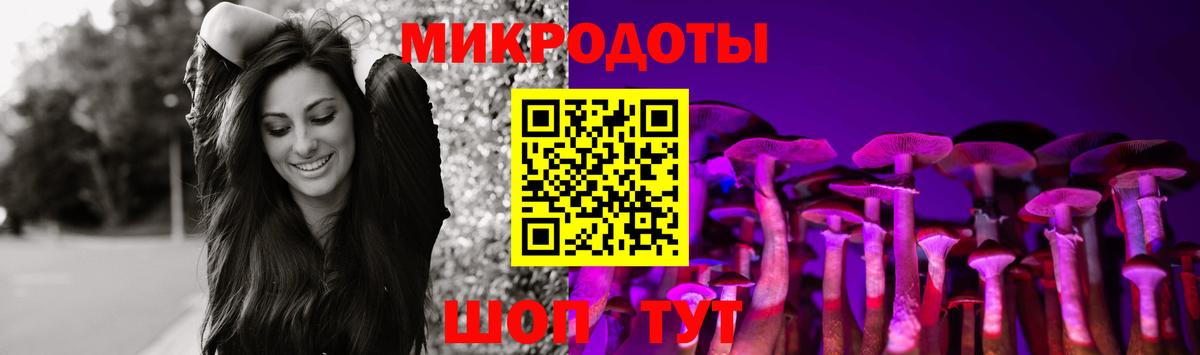 Михайловка  Галлюциногенные грибы Psilocybine cubensis  Вход с VPN 