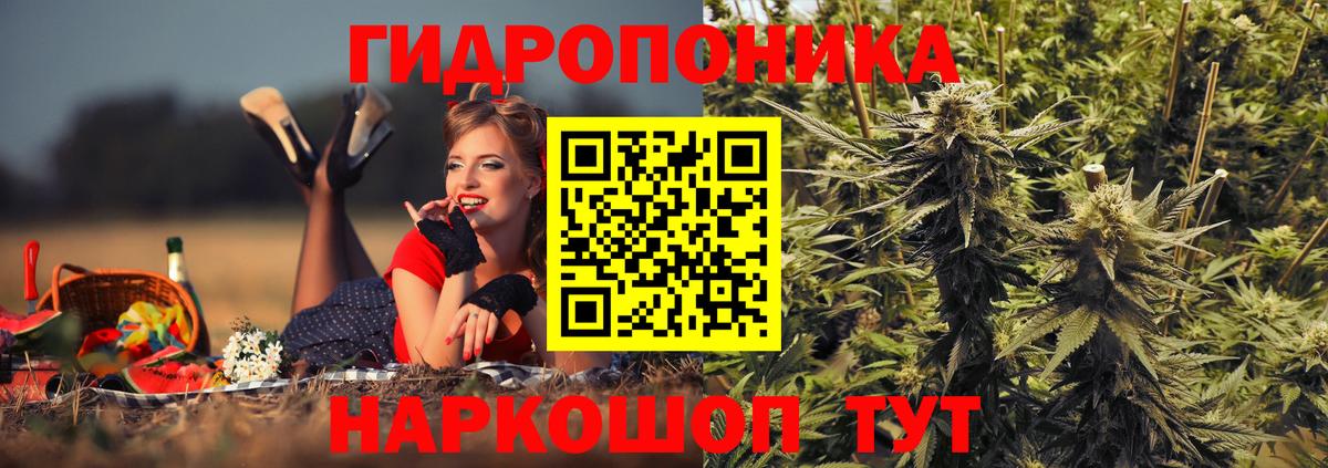 Михайловка  МАРИХУАНА White Widow  Марихуана Bruce Banner  Вход с VPN 